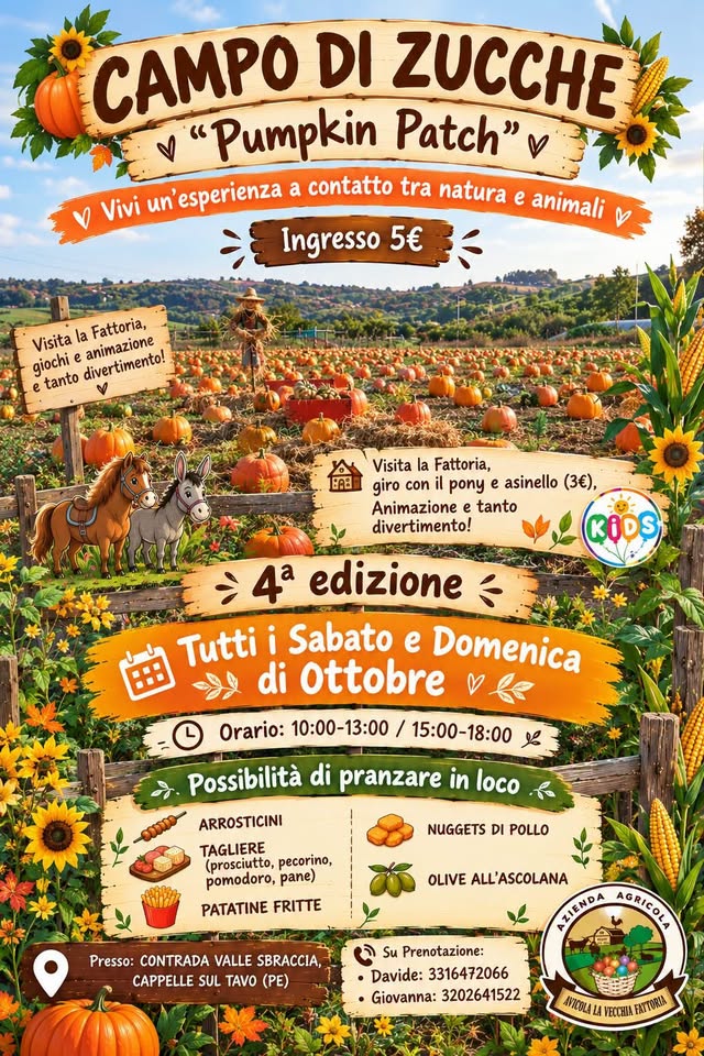 Locandina di Campo di Zucche - Pumpkin Patch